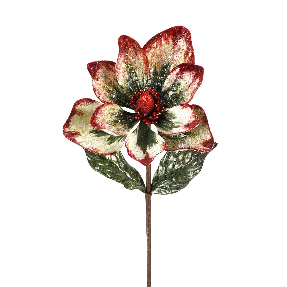 Red and Green Jeweled Magnolia Stem