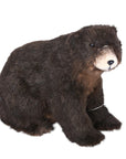 Fuzzy Brown Bear 11"x14"
