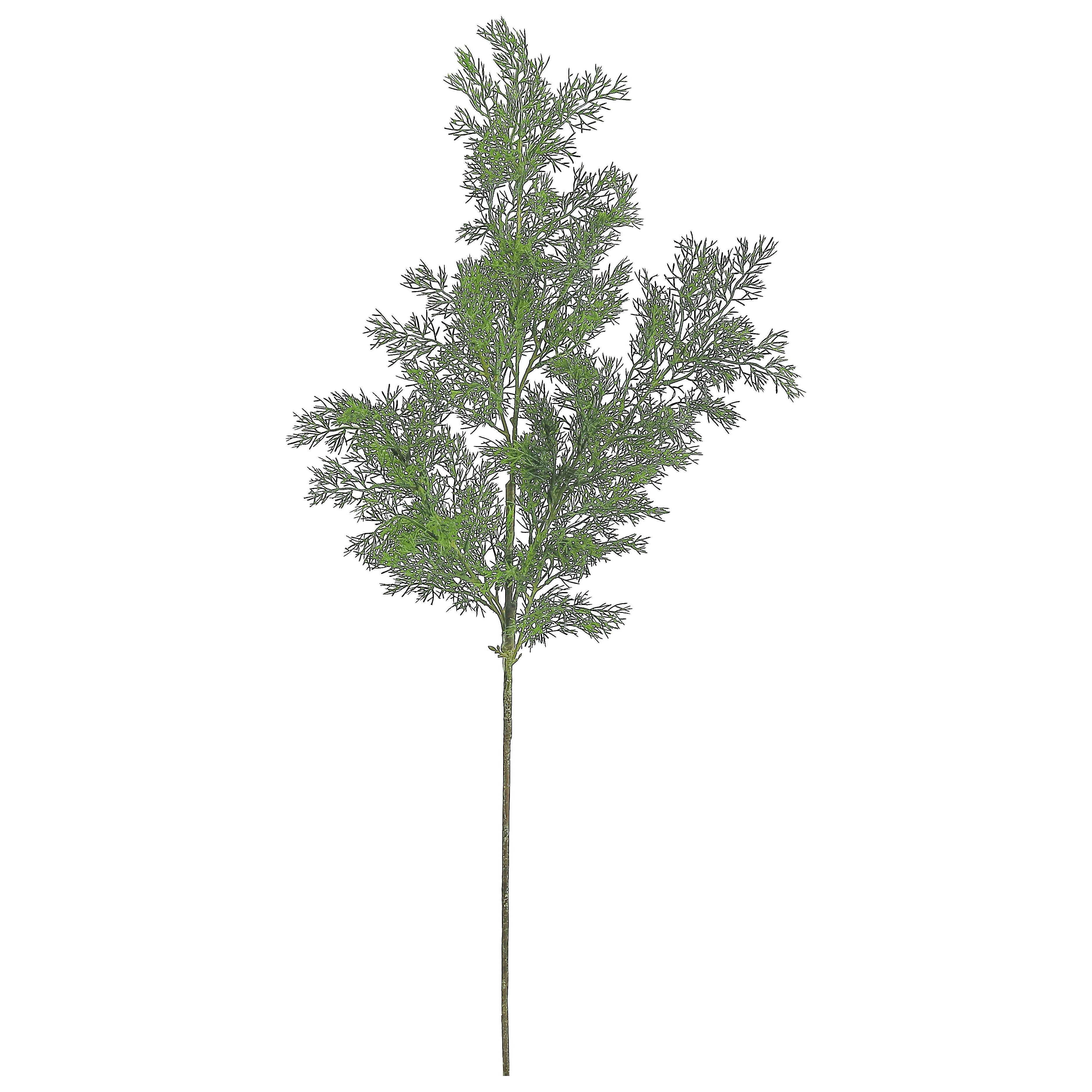 Tall Evergreen Cedar Spray