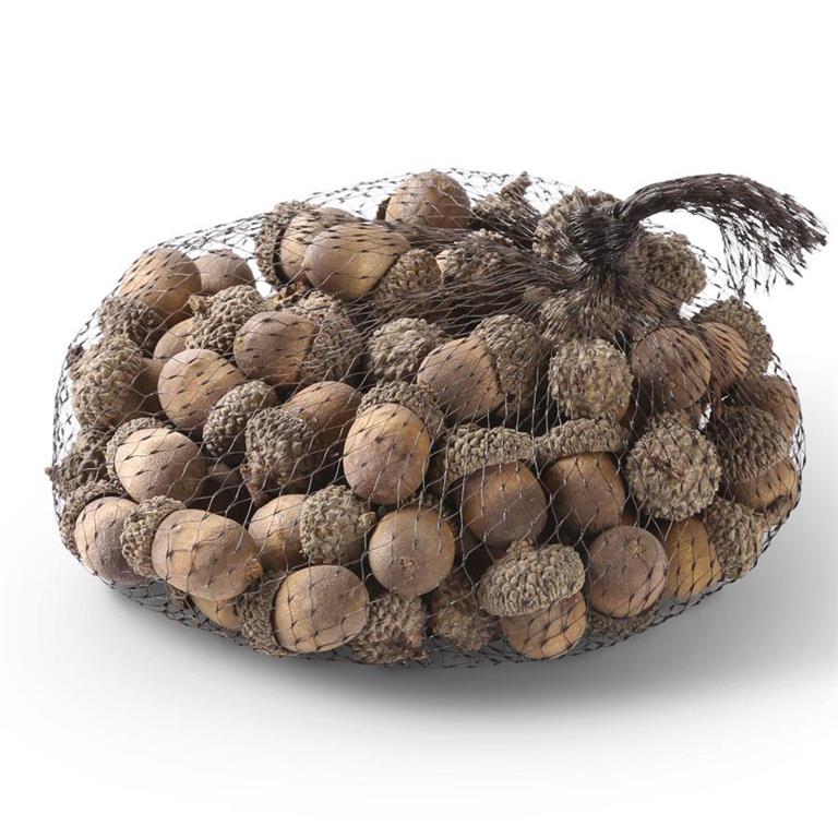 Festive Wooden Acorn Accents