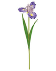 Natural Touch Bearded Iris Purple