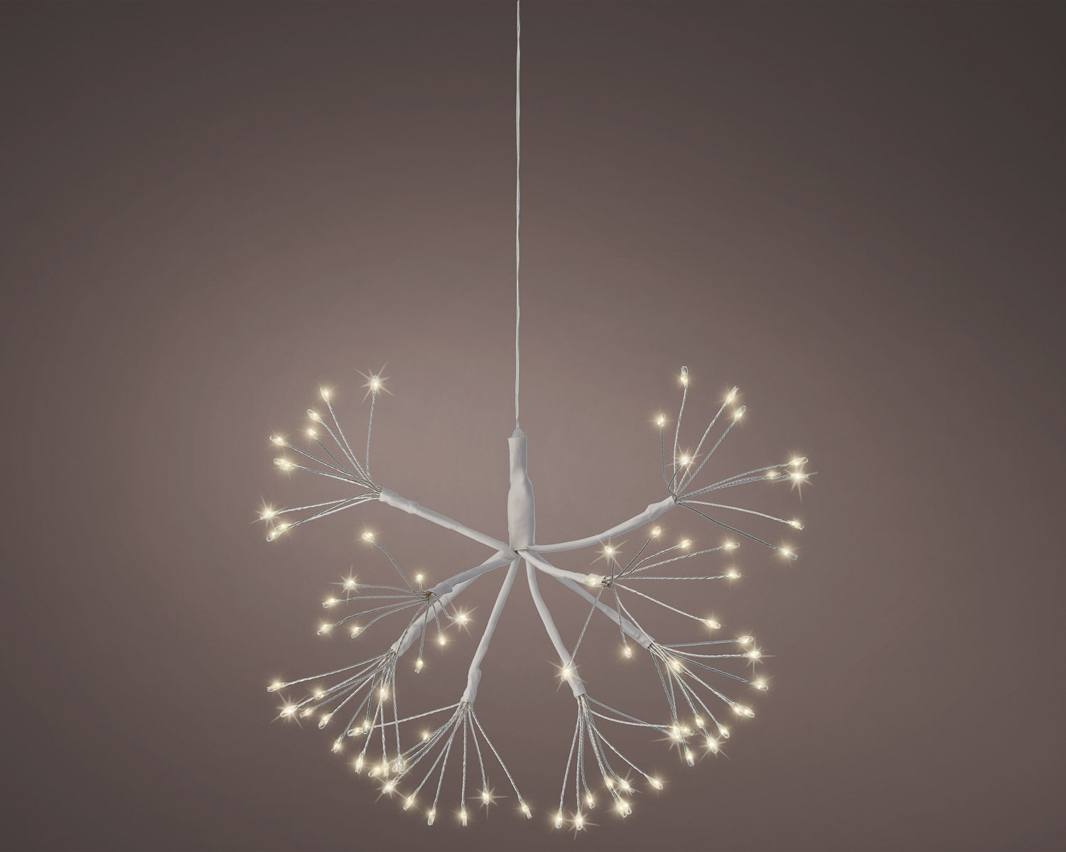 Outdoor Twinkle Lights