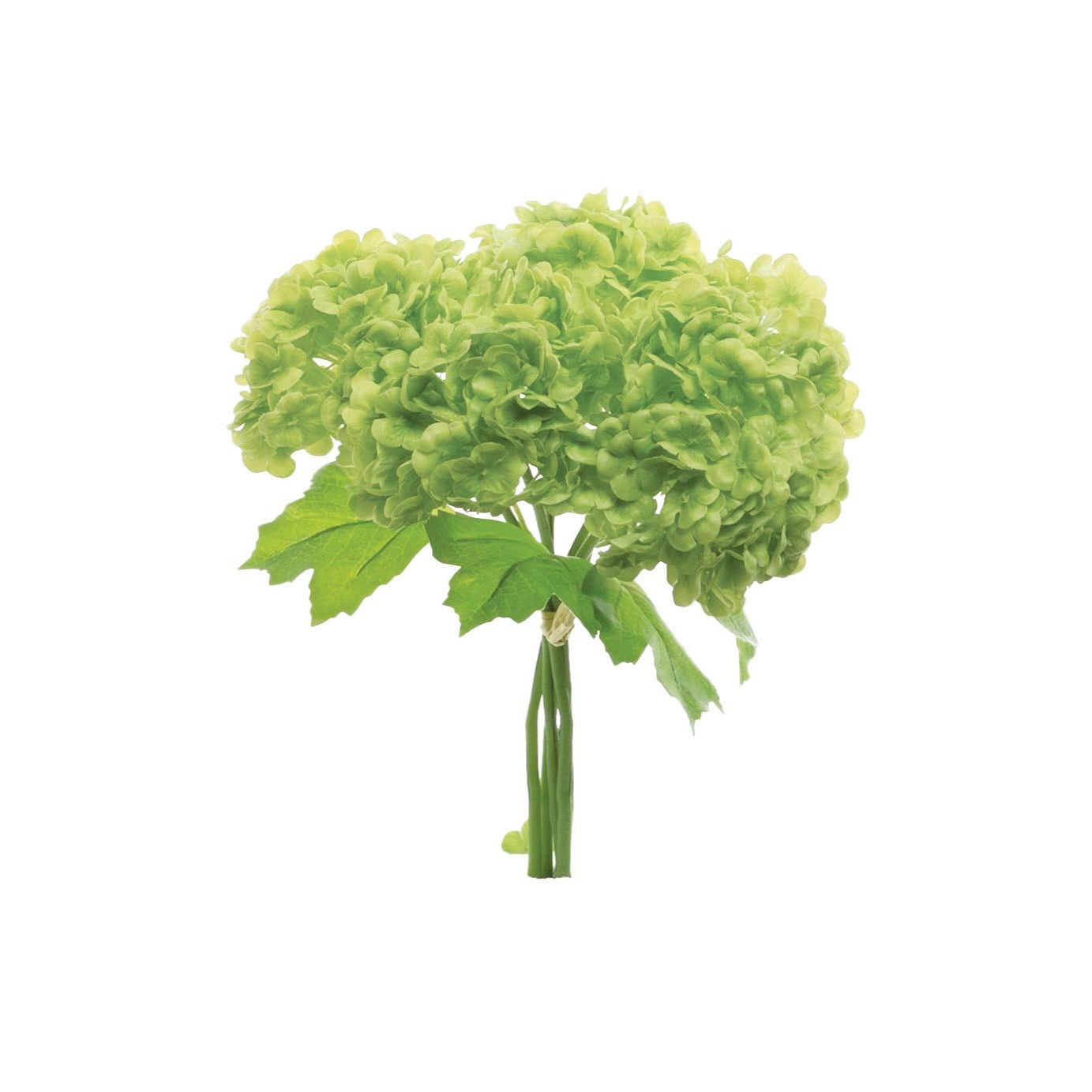 Snowball Hydrangea Bouquet Green