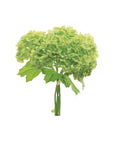 Snowball Hydrangea Bouquet Green