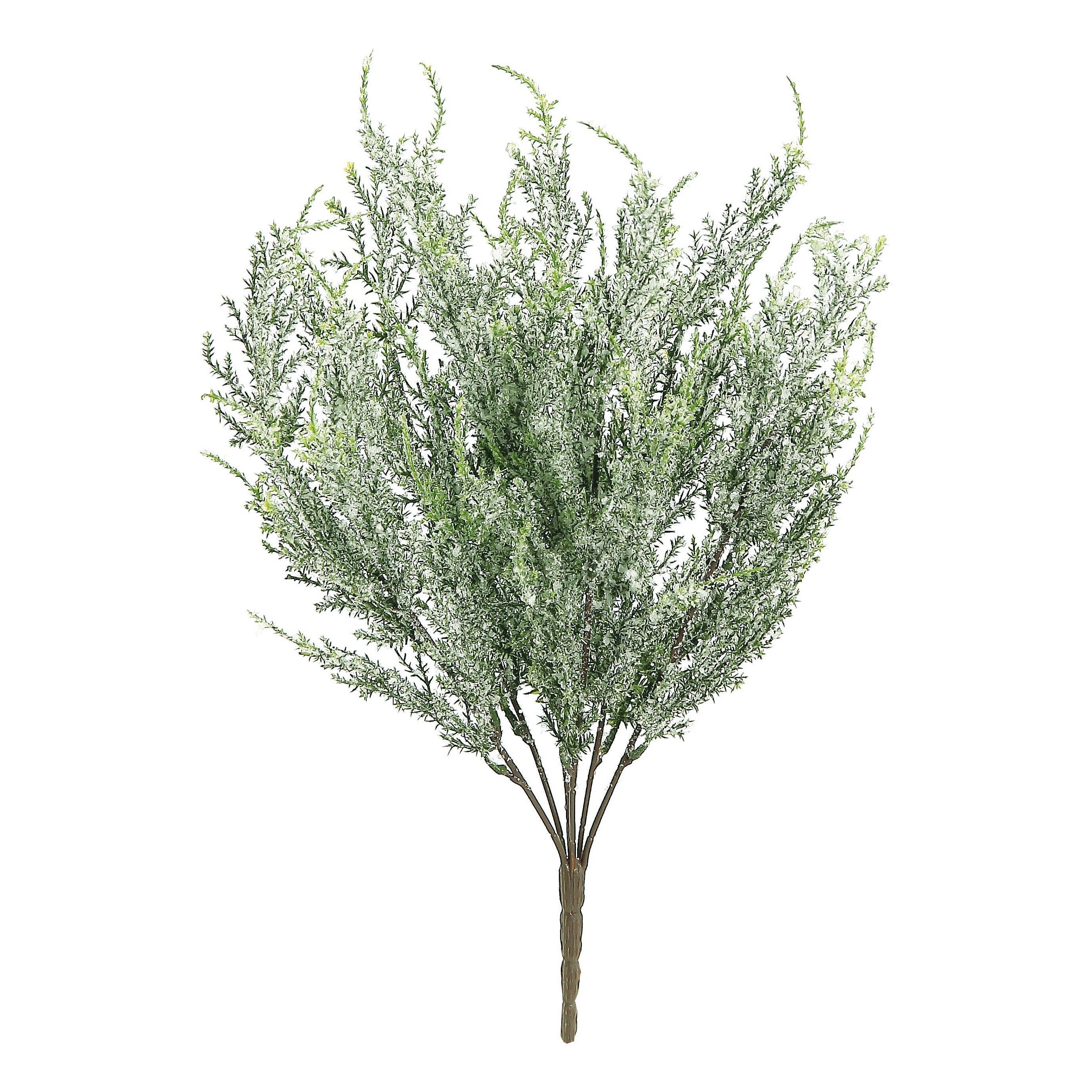 Frosted Cedar Spray