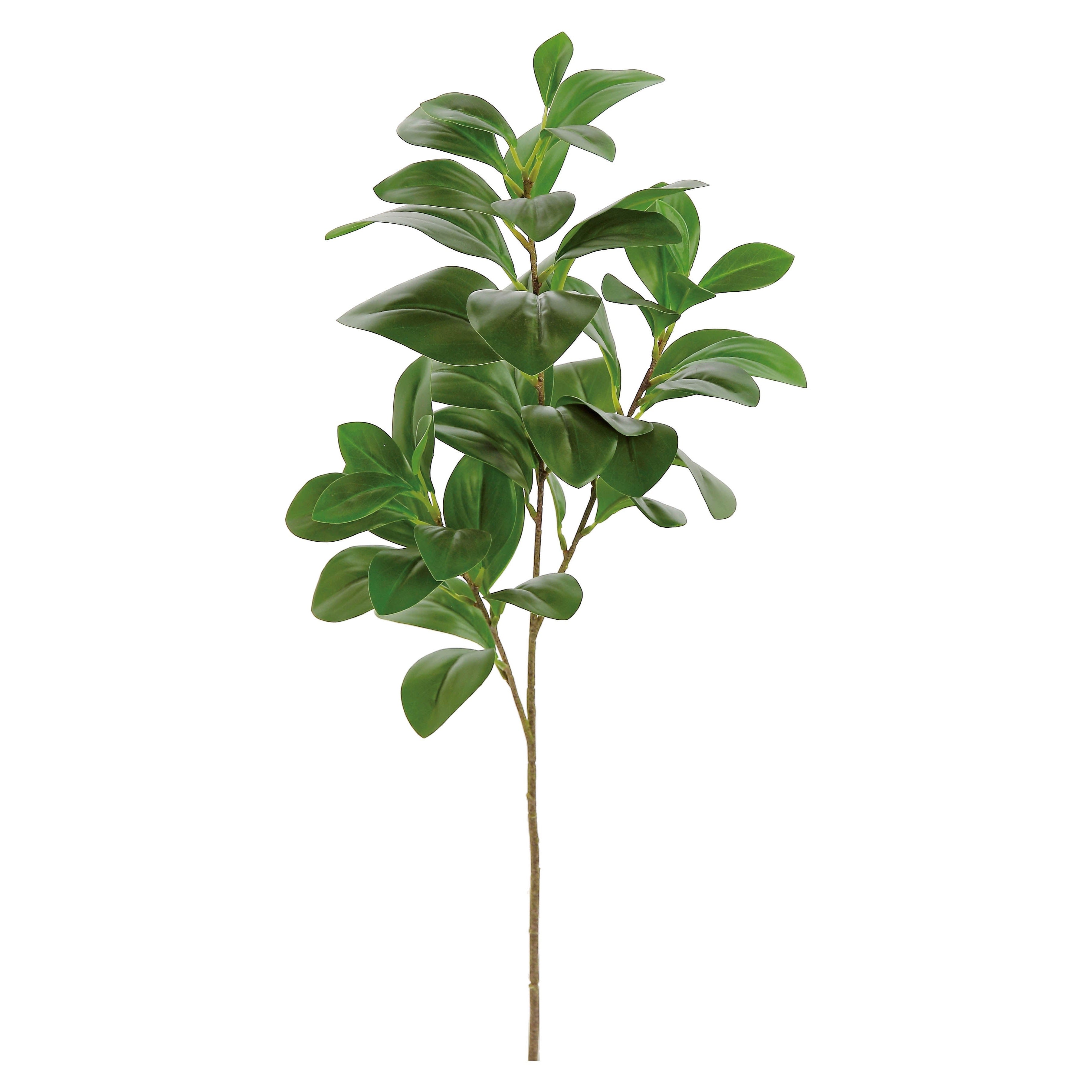 Watercress Leaf Spray