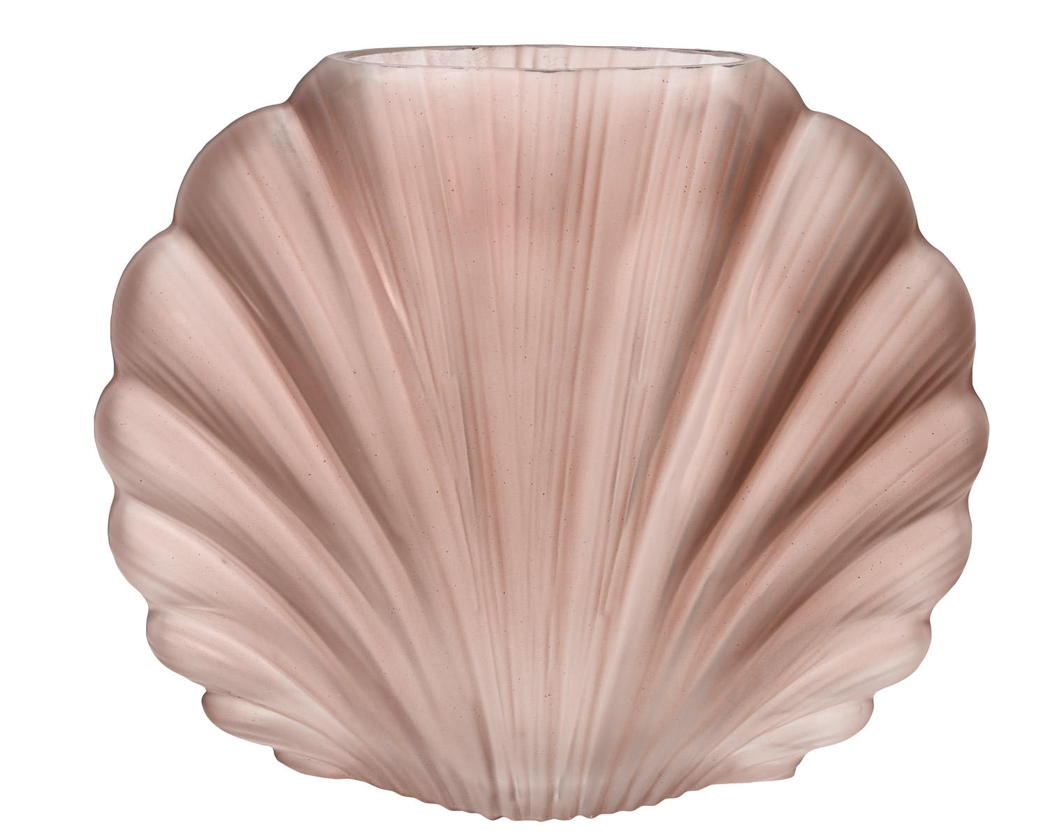 Rose Sea Shell Glass Vase