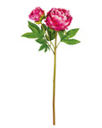 Natural Touch Peony Fuchsia