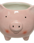 Animal Planter Pig