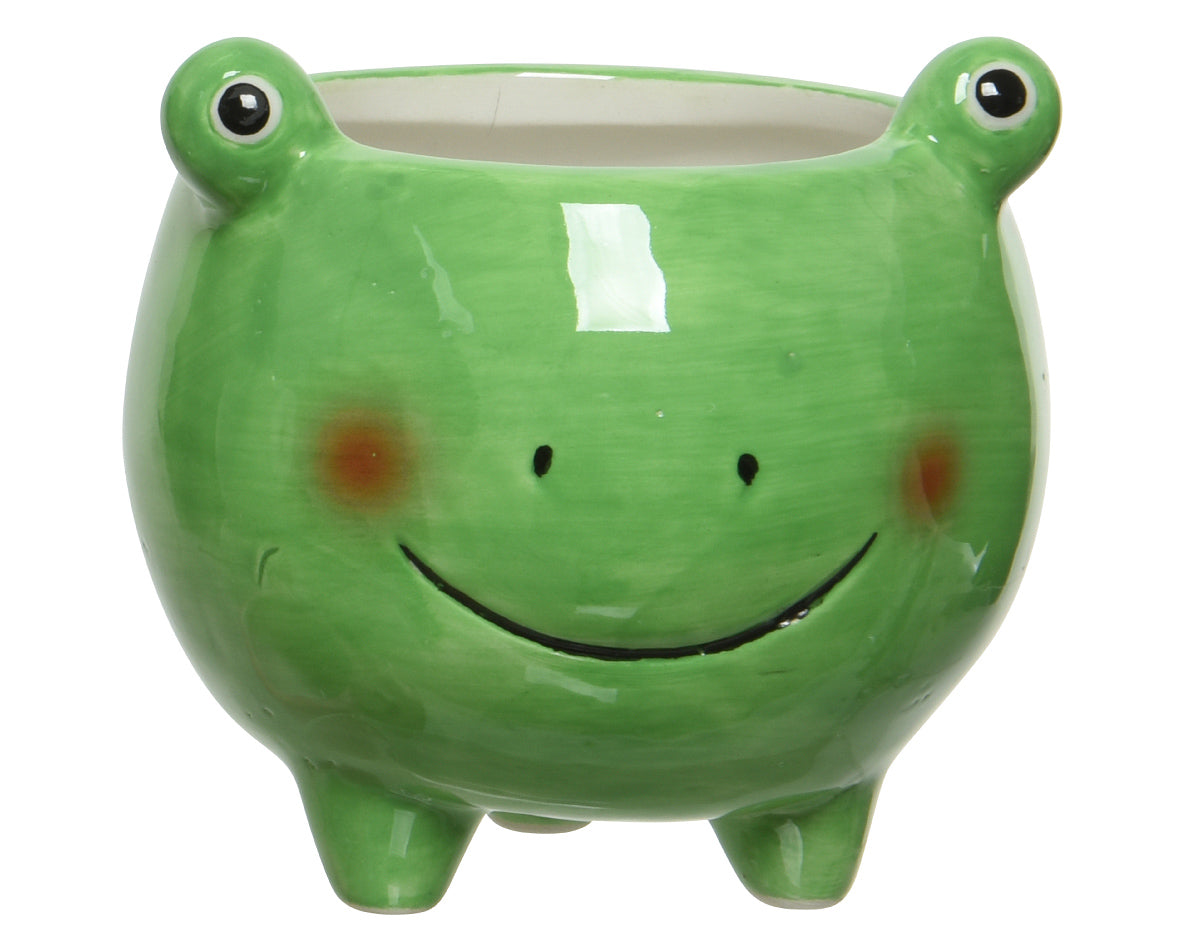 Animal Planter Frog