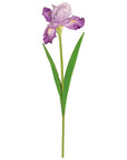 Natural Touch Bearded Iris Violet