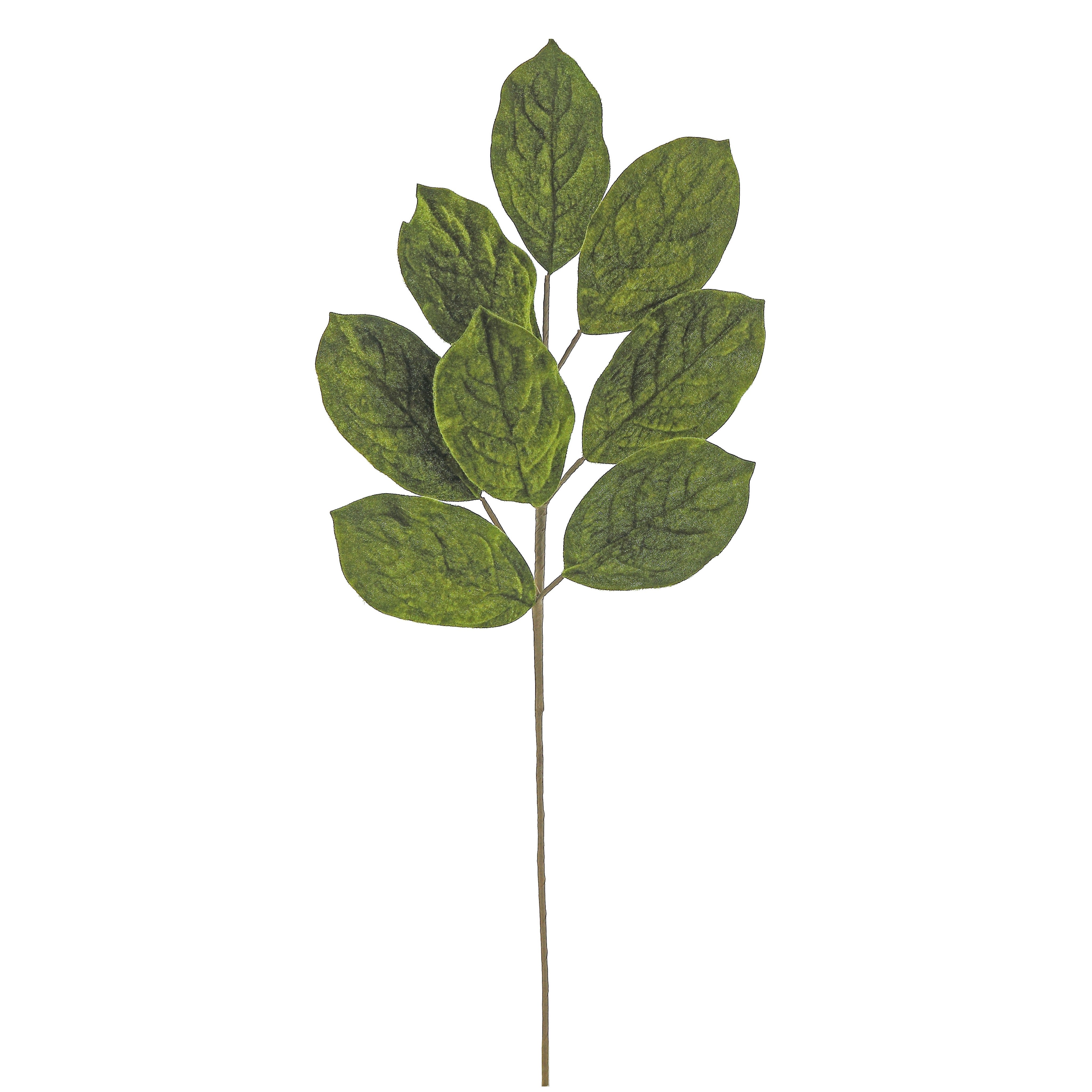 Green Velvet Magnolia Leaf Spray