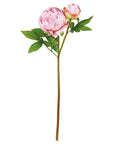 Natural Touch Peony Pink