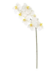 Natural Touch Phalaenopsis Orchid White
