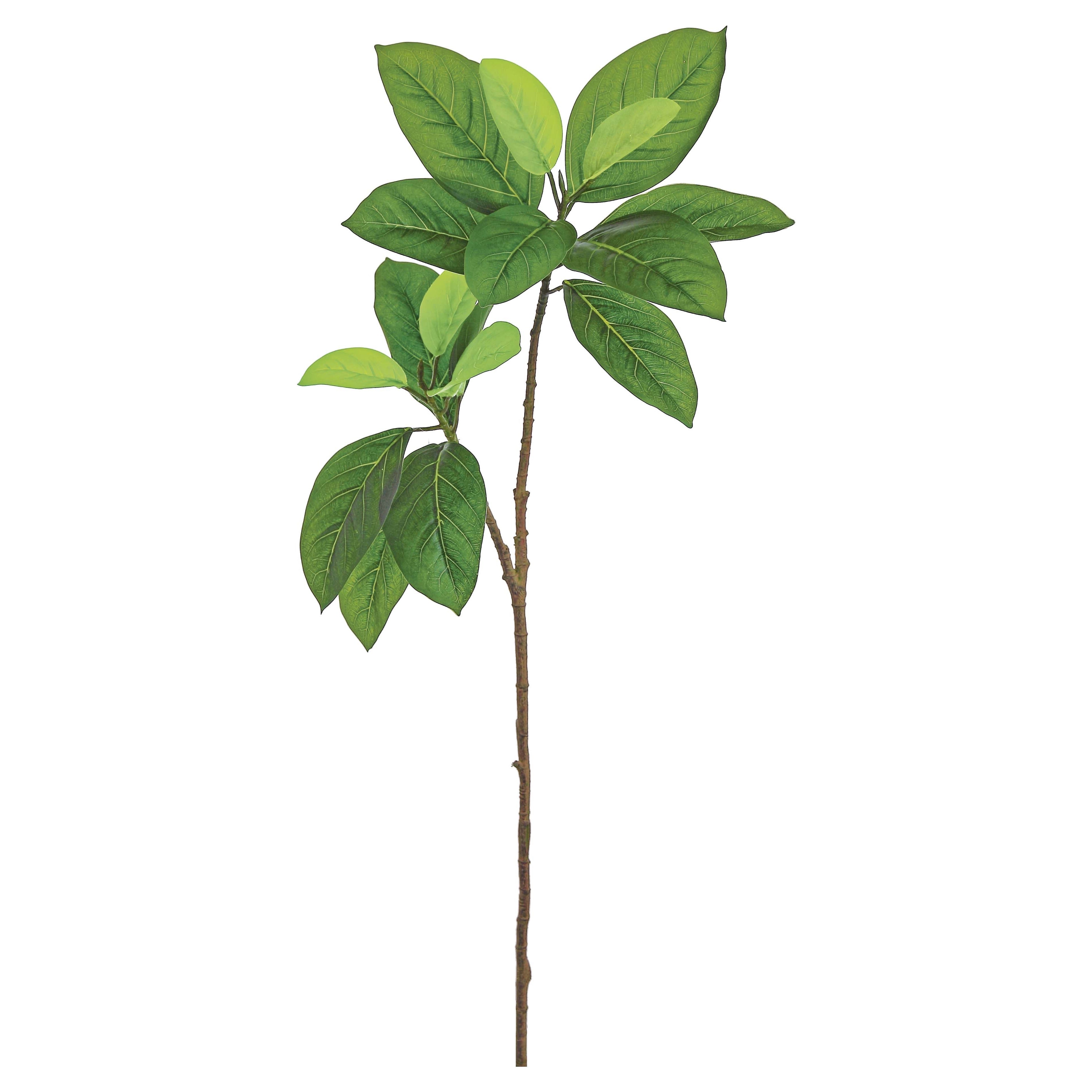 Mangrove Leaf Spray