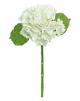 Hydrangea Branch White