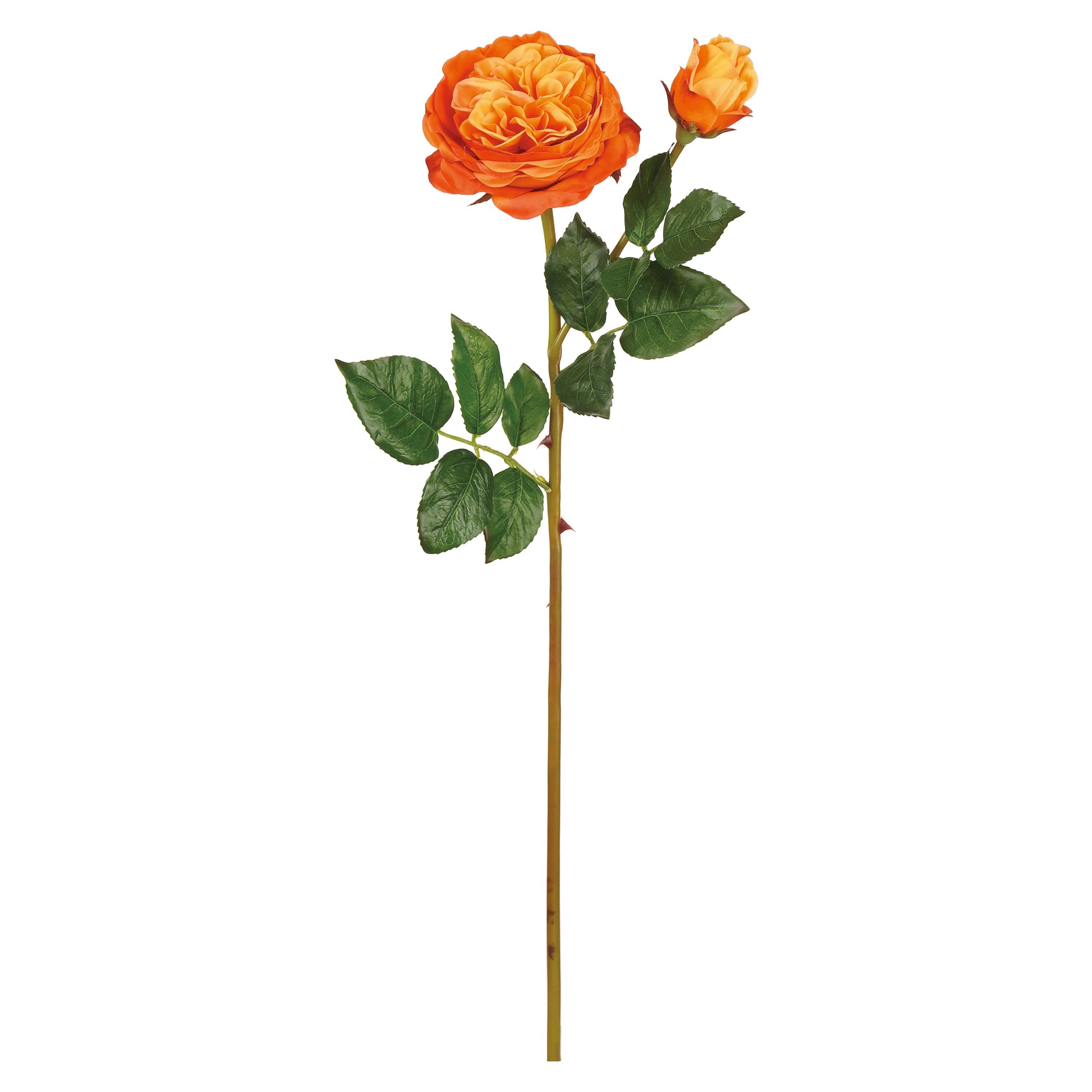 Natural Touch Cabbage Rose Orange