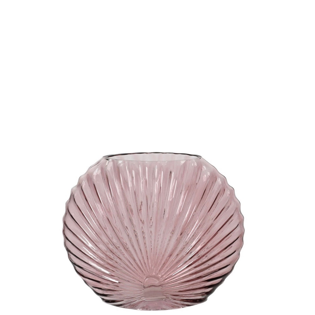 Sea Shell Glass Vases Pink