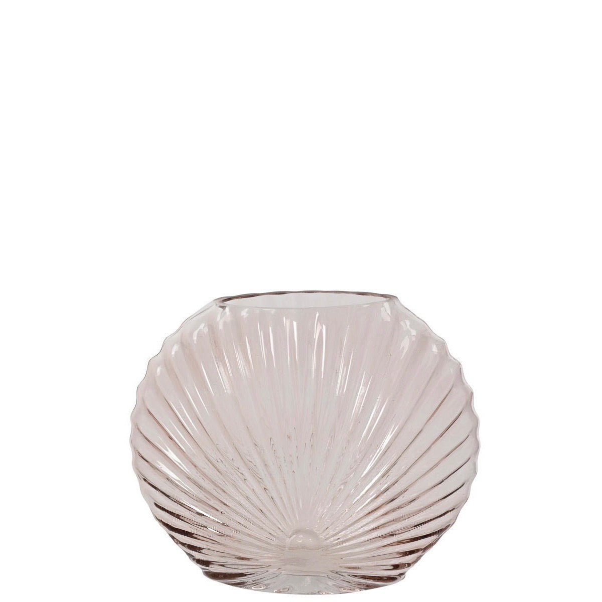 Sea Shell Glass Vases Peach