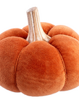 Velvet Pumpkin