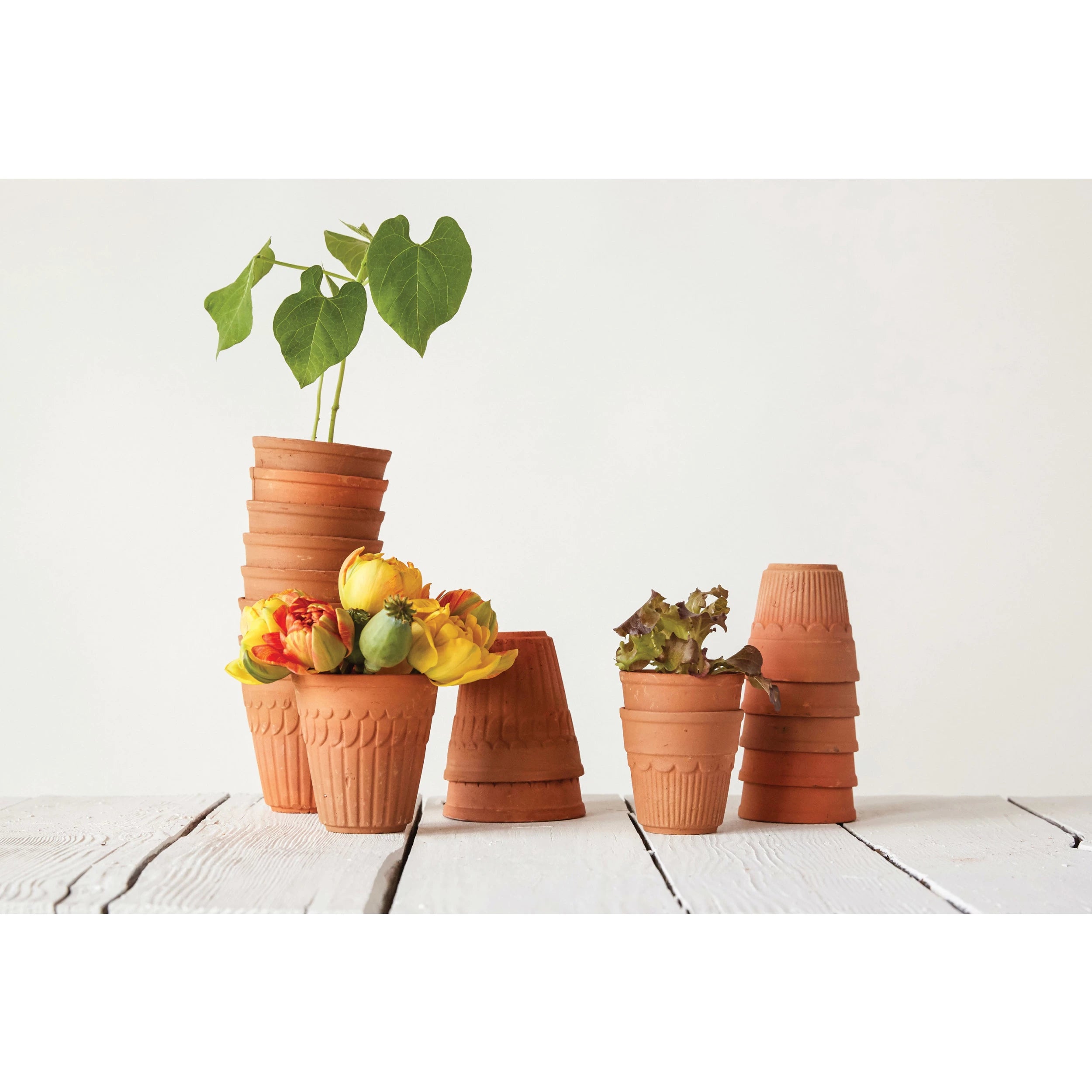 tiny terracotta plant pots Terracotta Planter, 4