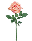 Princess Diana Rose Spray Pink