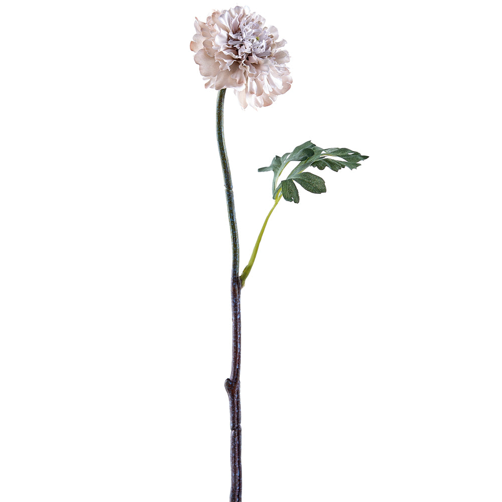 Shimmering Ranunculus Spray