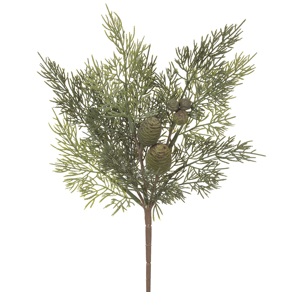 Cedar Spray with Pinecones