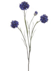 Blue or Violet Cornflower Sprays in Full Bloom Blue