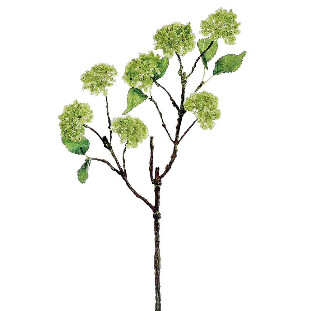 Green Snowball Hydrangea Spray