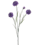 Blue or Violet Cornflower Sprays in Full Bloom Violet