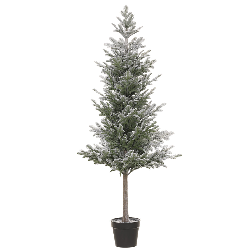 Frosted Potted Pine Tree