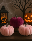 Velvet Pink Pumpkins