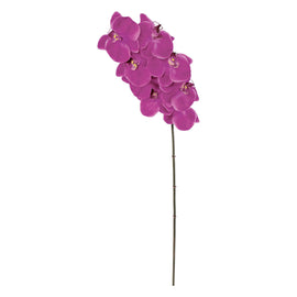 Natural Touch Phalaenopsis Orchid Orchid