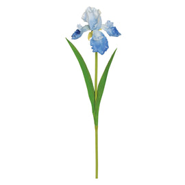 Natural Touch Bearded Iris Blue