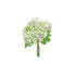 White Hydrangea Bundle