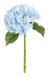 Blue Hydrangea
