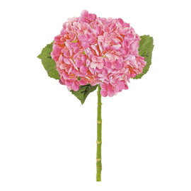 Hydrangea Branch Orchid