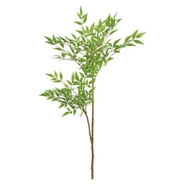 Nandina Branch