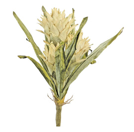 Dried Protea Bouquet