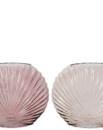 Sea Shell Glass Vases