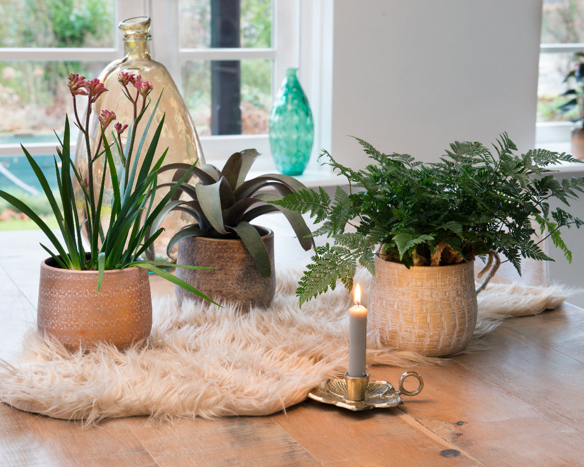 Small Terracotta Planters with Metallic Finish