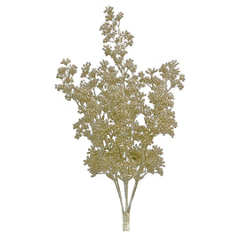Glitter Seed Bundle Champagne