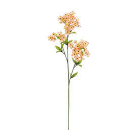 Pink Kalanchoe Spray