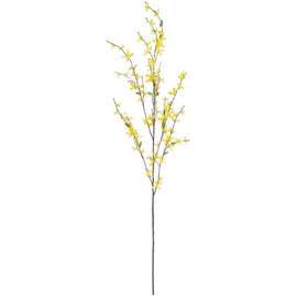 Yellow Forsythia Spray