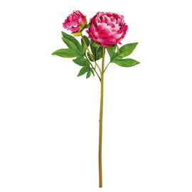 Natural Touch Peony Fuchsia