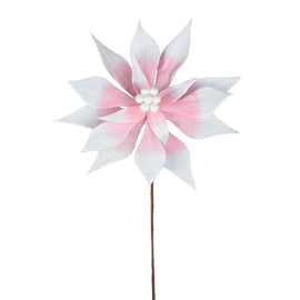 Poinsettia Stem