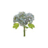 Baby Blue Hydrangea Bundle