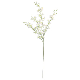 White Mini Star Orchid Spray