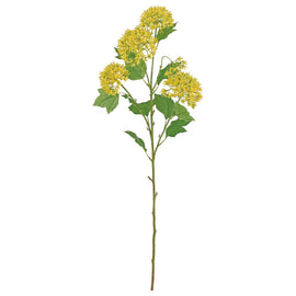 Milkweed Spray